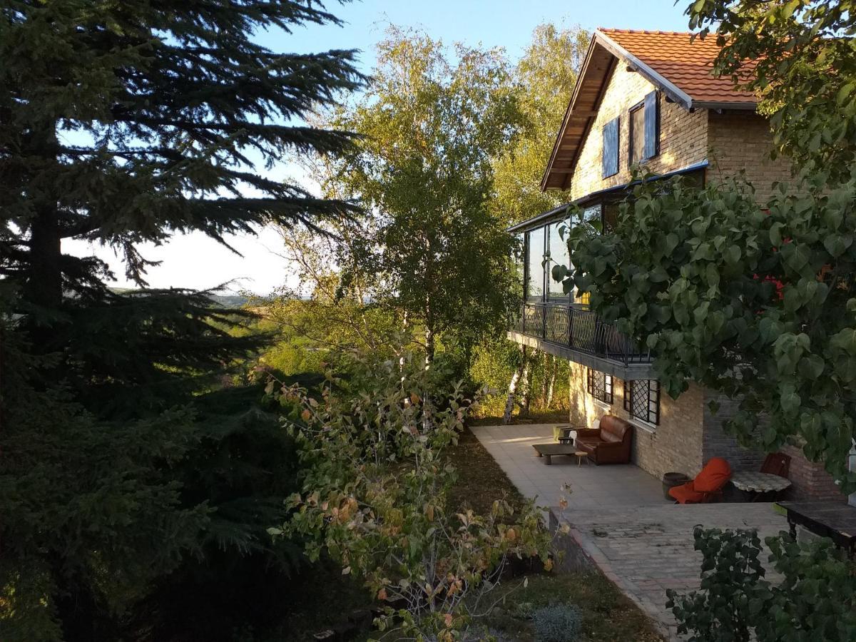 Lodging Vidmar Sremski Karlovci Exterior photo
