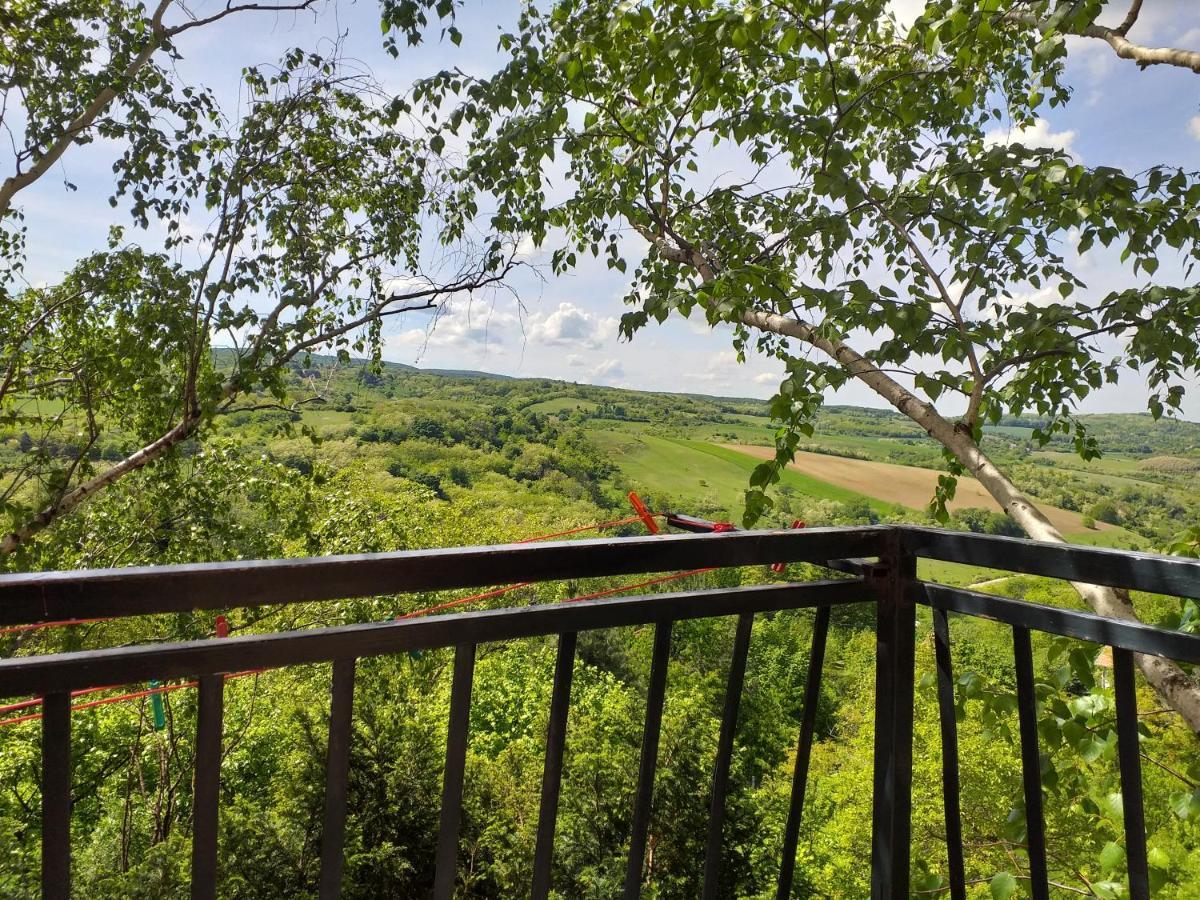 Lodging Vidmar Sremski Karlovci Exterior photo