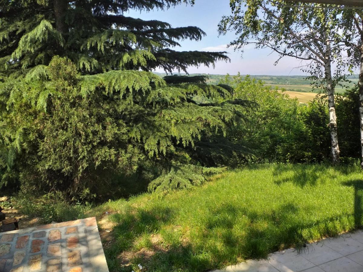 Lodging Vidmar Sremski Karlovci Exterior photo