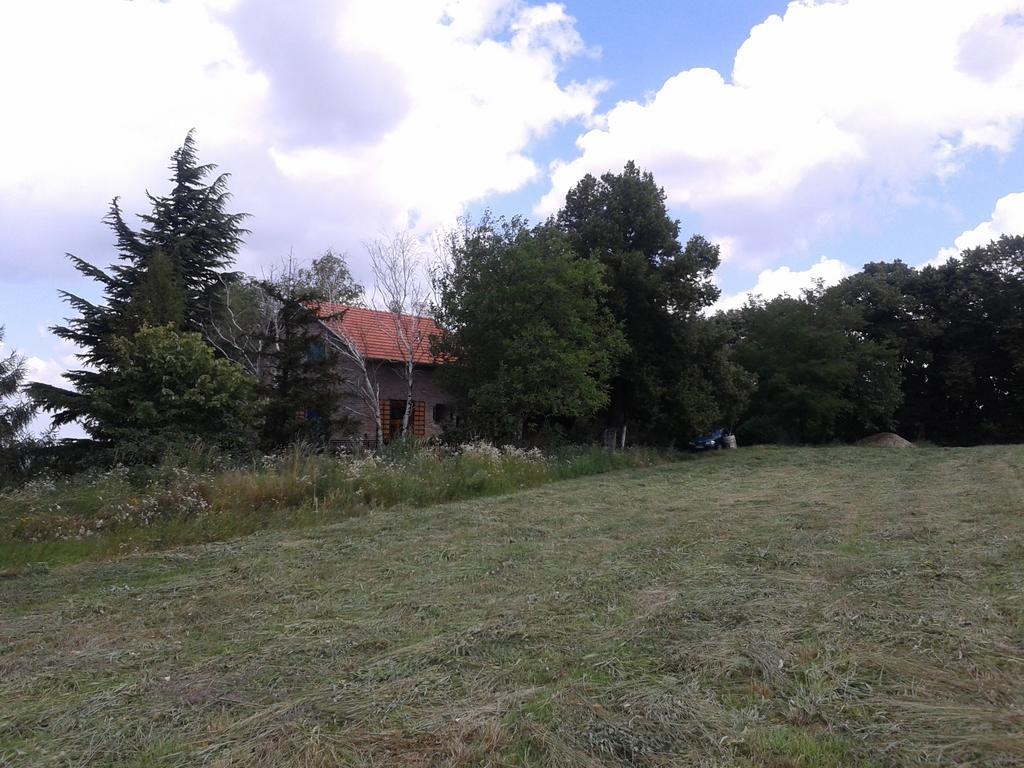 Lodging Vidmar Sremski Karlovci Exterior photo